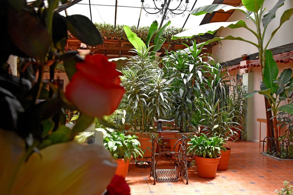 Hotel San Luis San Cristóbal de Las Casas Екстериор снимка