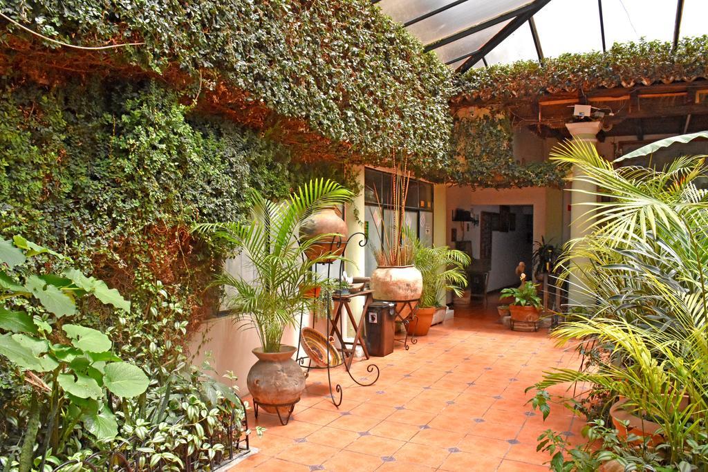 Hotel San Luis San Cristóbal de Las Casas Екстериор снимка